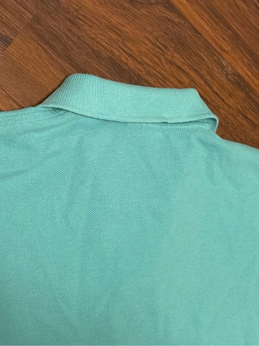 Ralph Lauren Polo in Seafoam Green with Yellow Pony